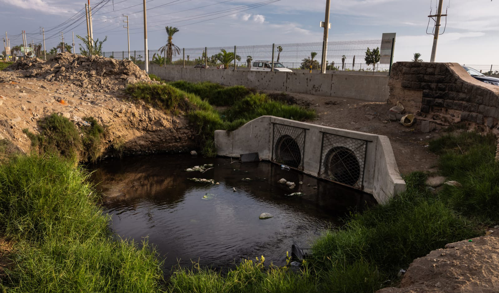 Los Pantanos de Villa en peligro por la contaminación y acumulación de ...